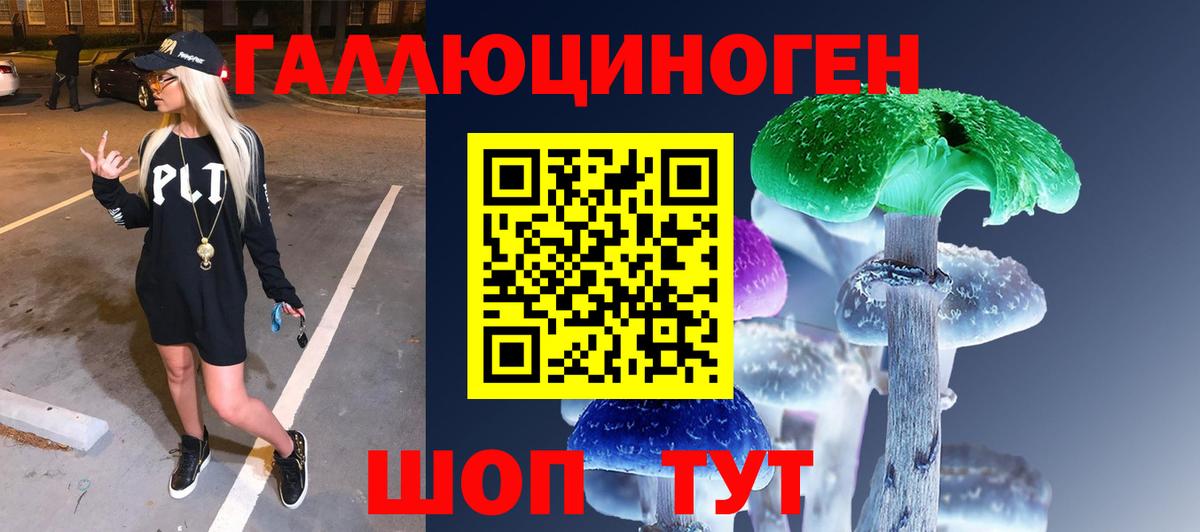Псилоцибиновые грибы MAGIC MUSHROOMS  Вход с VPN  Нальчик 